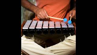 Discover the Harmony of the 15Inch 8 Keys Metallophone  Ethnic Instruments by Sarveda [upl. by Siva238]