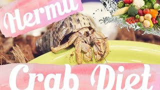 Hermit Crab Diet What I Feed My Crabs Daily 🐚🦀 Lori’s Hartland [upl. by Jacintha]