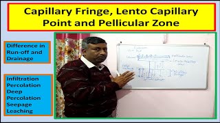 Capillary Fringe Lento Capillary Point and Pellicular Zone [upl. by Beffrey]