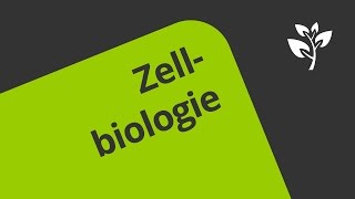 Die Geschichte der Zellbiologie  ein Überblick  Biologie  Cytologie [upl. by Nylkoorb]