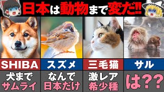 77億が驚愕した日本だけに住む動物の生態6選【ゆっくり解説】 [upl. by Ynor]