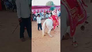 lilan mari viral dance marwadi trending rajasthani like DineshMakrana tulchharambhangawa [upl. by Fablan]