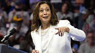 ‘The joy campaign has sputtered out’ Kamala Harris having a ‘hard time’ sealing the deal [upl. by Larsen]