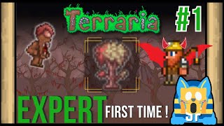 Terraria  Expert First Time Playthrough EP1  Saying Goodbye To My Sanity and Joe [upl. by Lerad]