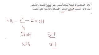 Isoelectric point of amino acids [upl. by Hennessy729]