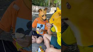 The father dog competes with the puppy for food and the end result🤣dogshorts dog viral shorts [upl. by Josselyn]