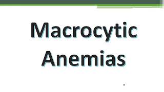 Macrocytic anemia Dr Aly Elkholy MD Arabic [upl. by Timotheus]