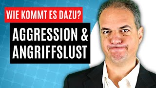 Welche Bedürfnisse stehen hinter meinen Aggressionen [upl. by Kassey960]