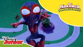 🦸 Super momentele lui Miles  Păienjenelul Marvel și prietenii lui uimitori  Disney Junior România [upl. by Sherj716]