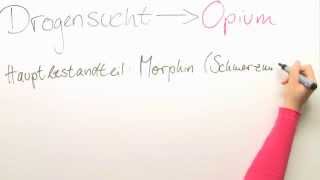 Drogensucht Opium  Biologie  Neurobiologie [upl. by Mose]