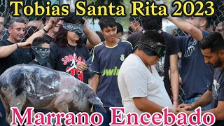 Marrano Encebado 2023 San Miguel Tobías Santa Rita Chalatenango elsalvador [upl. by Nnagrom]