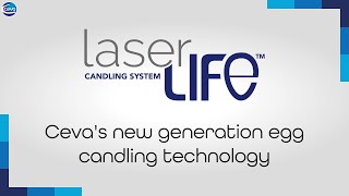 LaserLife  Cevas new generation egg candling technology [upl. by Jamill]