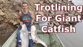 Missouri River Trotlining for Giant Catfish [upl. by Maura]