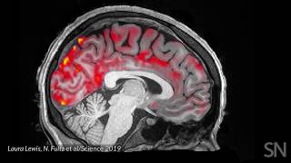 Blood flows out and cerebrospinal fluid flows into the sleeping brain  Science News [upl. by Leandro]