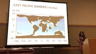 Bribiesca Macroevolutionary patterns in the diversification [upl. by Kared]