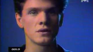 Marc Lavoine  Elle a Les Yeux Revolver Official Video Clip [upl. by Vandervelde763]