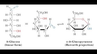 A Cyclization of monosaccharides [upl. by Ardnalac]