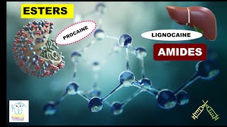 Esters amp Amides Local anesthetics [upl. by Mcmillan]