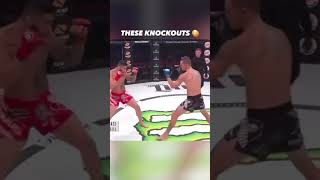 Best Knockout in MMA history fightnews mmafighter fighthighlights mma boxing boxingnews [upl. by Sev]