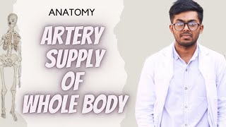 Artery Supply Of Whole BodyHuman Anatomy Bangla WhiteApron Anatomy mbbs Bangla circulation [upl. by Elset]