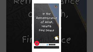 In the remembrance of Allah hearts find peace Islamic Captions For Instagram amp Quotes 2024 [upl. by Jb]