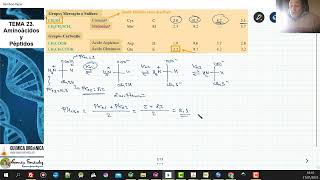 TEMA 23 AMINOÁCIDOS Y PÉPTIDOS  233 pH ISOELECTRICO DE CISTEÍNA Y METIONINA [upl. by Reinertson]