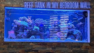 CORAL REEF TANK IN MY GUEST BEDROOM WALL UPDATE [upl. by Nitin555]