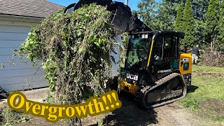 Grading Mounds of Dirt and Trimming Fenceline  Overlooked Backyard Transformation [upl. by Nnylakcaj]