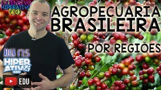 Geografia do Brasil  AGROPECUÁRIA BRASILEIRA por regiões [upl. by Norry883]