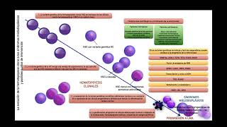 Sesión 3 Trombocitopenia asociada a MDS [upl. by Akiemaj798]