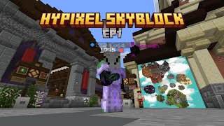 Hypixel Skyblocks EP1 END FARMING [upl. by Naegem]