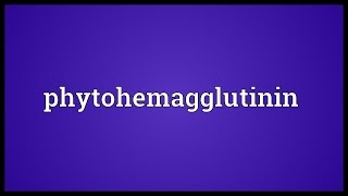 Phytohemagglutinin Meaning [upl. by Erreipnaej851]