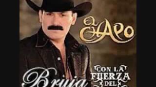 El Chapo De Sinaloa  Bruja flv [upl. by Westhead]