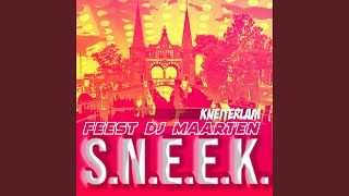 SNEEK Sneekweek kneiterlam [upl. by Cappella]