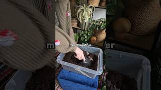 My favorite houseplant soil mix plantcare planttips growingplants soilmix plantsathome plants [upl. by Annahael175]