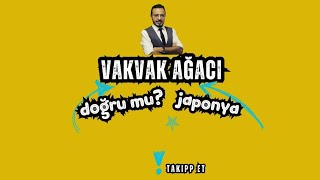 Vakvak Ağacı var mı Meyvesi gerçekmi [upl. by Nylqcaj]