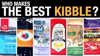 The Pet Food Kibble Review [upl. by Casabonne428]