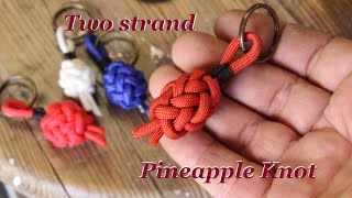 Two strand Pineapple Knot  Ten minute tutorial [upl. by Daisi]