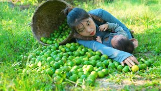 Harvest lemons to sell at the market clean up around the house  Triệu Thị Hiền [upl. by Etteuqram]