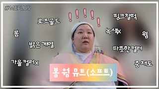 가을뮤트로 살았던 나의 퍼스널 컬러는 봄소프트봄뮤트 퍼스널컬러 진단받고 메이크업 클래스💄 샵미플러스 퍼스널컬러 [upl. by Eves]