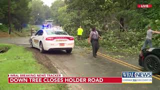 Down tree closes Holder Road in Durham [upl. by Boys545]