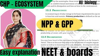 XII ecology  productivity NPP amp GPP Decomposition  detritus [upl. by Dammahom34]