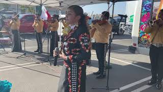 Ricitos de Oro Cantando “Amor De Los Dos” Con El Mariachi Flor de Mexico [upl. by Griff318]