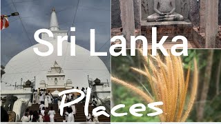 Best Places to visit Sri Lanka🇱🇰Travel first vlog😯❤travel firstvlog viralvideo srilanka like [upl. by Jen937]