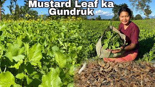 Collecting Mustard Leaves for Gundruk  How to make fermented Gundruk  Green Vegey [upl. by Bobina154]