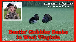 Bustin Spring Gobbler Beaks in West Virginia  7 Year Old Rolls a Stud [upl. by Nellahs]