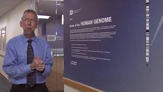 Scale of the Human Genome with animations  Eric Green [upl. by Lebasile312]