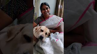 Tooty 🐕🐕 అల్లరి petlovers🐶🐕youtubeshorts 🐕🦮 [upl. by Eiramanitsirhc776]