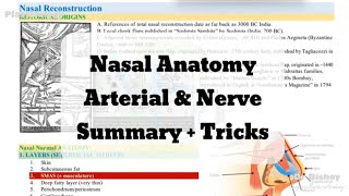 Nasal Anatomy Arterial amp Nerve Summary Tricks [upl. by Drooff]