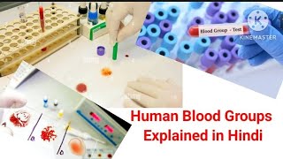 Human Blood Groups ABO Rh Explained in HindiFeelScience1 [upl. by Airdnaxila242]